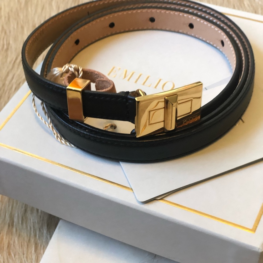 Emilio Puccci black belt